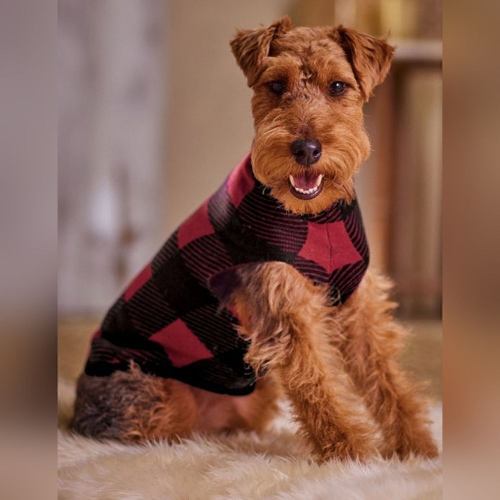 Plaid Dog Sweater - Red and Black Size XS